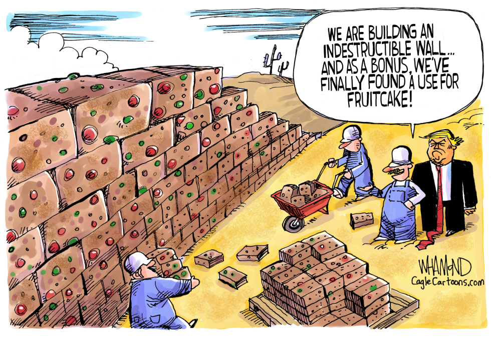  BUILD THE FRUITCAKE WALL by Dave Whamond