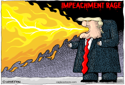 IMPEACHMENT RAGE by Monte Wolverton