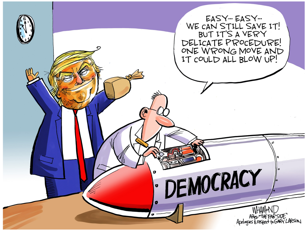  US DEMOCRACY AT STAKE by Dave Whamond