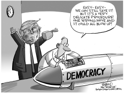 US DEMOCRACY AT STAKE by Dave Whamond