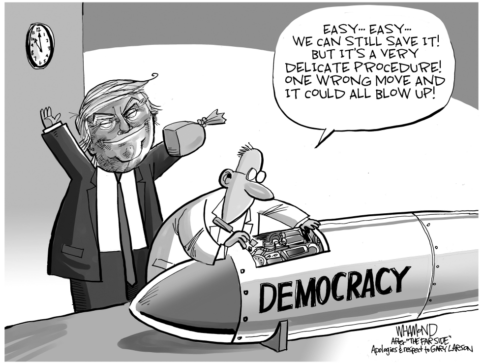  US DEMOCRACY AT STAKE by Dave Whamond