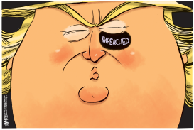 TRUMP IMPEACHED by Rick McKee