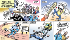 DEMOCRACIES IN DANGER by Paresh Nath