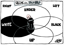 A YEAR OF CONFUSION by Jos Collignon