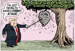 SOLEIMANI KILLING by Monte Wolverton