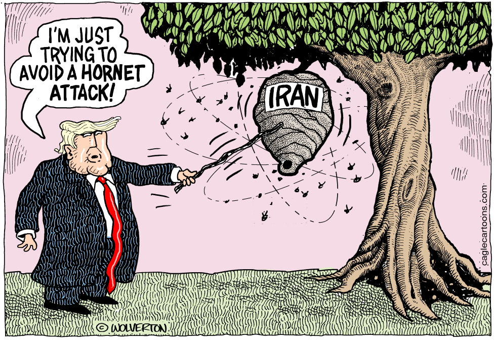  SOLEIMANI KILLING by Monte Wolverton