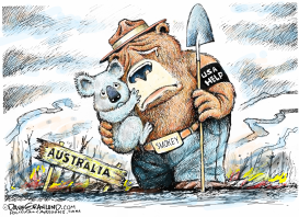 AUSTRALIA FIRES by Dave Granlund