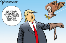 TRUMP THE HAWK WRANGLER by Bruce Plante