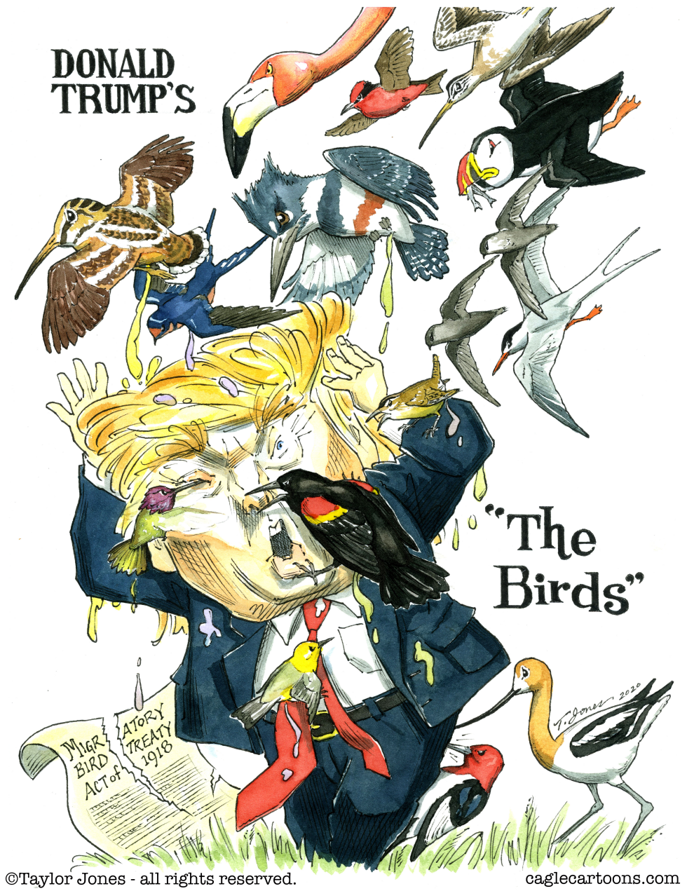  THE BIRDS by Taylor Jones