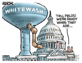 IMPEACHMENT WASH by Steve Sack