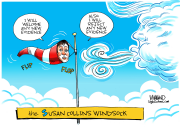 THE SUSAN COLLINS WINDSOCK by Dave Whamond