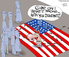 DEMS STOMP FLAG by Gary McCoy