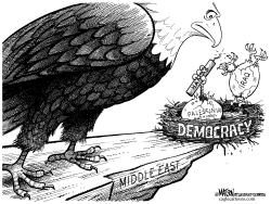 HALF-HATCHED DEMOCRACIES IN THE MIDDLE EAST by RJ Matson