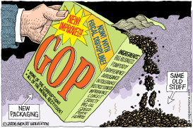 REPACKAGING THE GOP by Wolverton