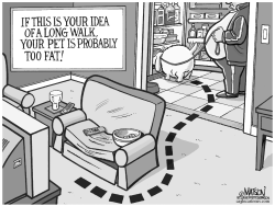 PET OBESITY-GRAYSCALE by RJ Matson