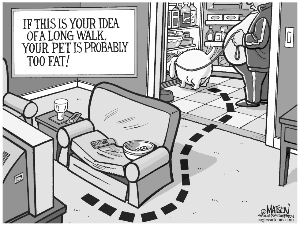  PET OBESITY-GRAYSCALE by RJ Matson