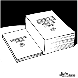 EXPEDIENTE DEL CONGRESO- EDICION DE DOS VOLUMENES by RJ Matson