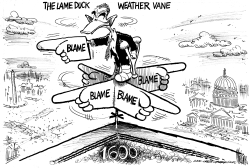 THE LAME DUCK WEATHER VANE by Mike Lane