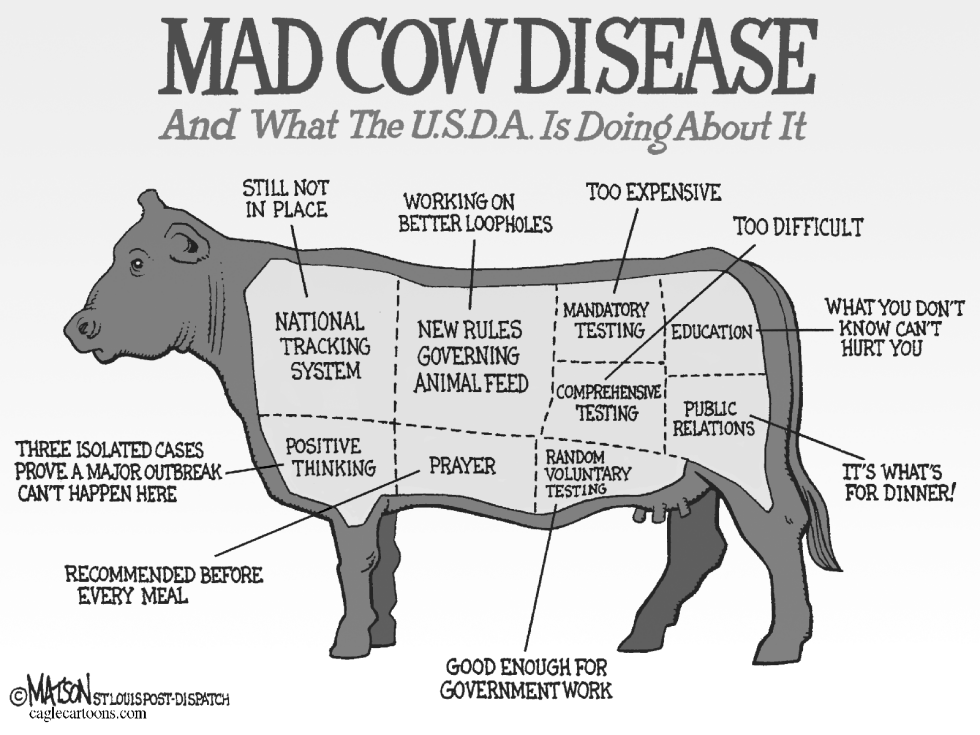  U.S.D.A. MAD COW DISEASE CHART-GRAYSCALE by RJ Matson