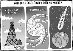 ELECTRIC RATES EXPLAINED by Bob Englehart