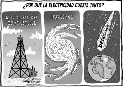 TARIFAS ELECTRICAS EXPLICADAS by Bob Englehart