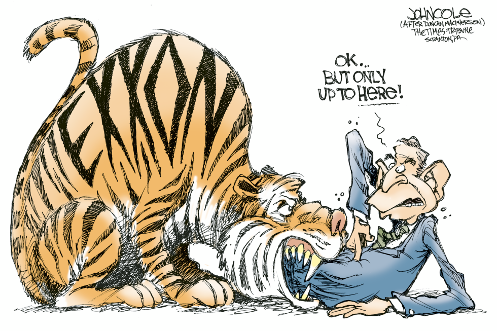  BUSH AND THE TIGER   by John Cole