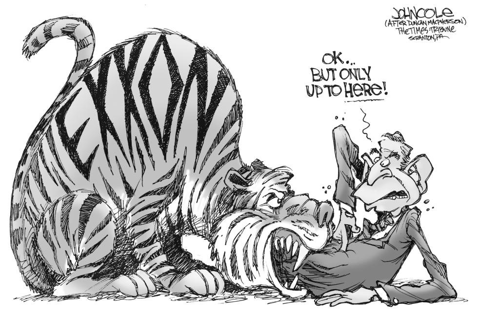  BUSH AND THE TIGER by John Cole