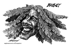 MARLEY by Antonio Neri Licón