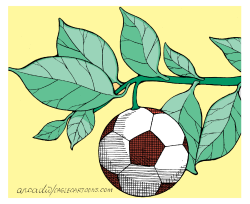 FRUTO DEL DEPORTE by Arcadio Esquivel