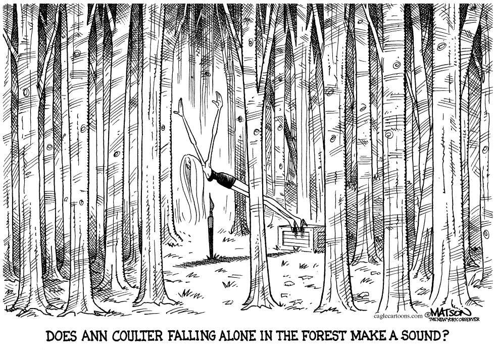  ANN COULTER CONUNDRUM by RJ Matson