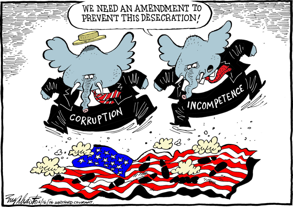  FLAG AMENDMENT by Bob Englehart