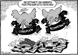 ENMIENDA PARA LA BANDERA by Bob Englehart