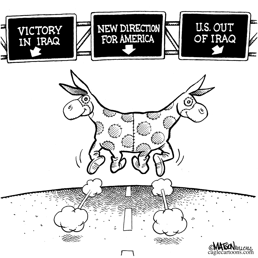  NEW DIRECTION FOR DEMOCRATS by RJ Matson