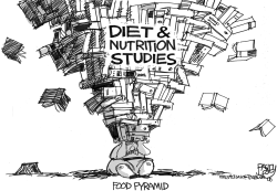 FOOD PYRAMID DIET by Pat Bagley