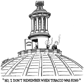 CONGRESS DESIGNATES SMOKING AREA by RJ Matson