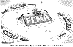 FEMA FRAUD by RJ Matson