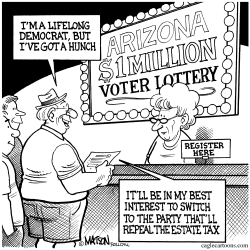 MILLION DOLLAR ARIZONA VOTER LOTTERY by RJ Matson