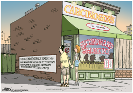 LOCAL MO-CARCINOGENS SECONDHAND SMOKE PIT by RJ Matson