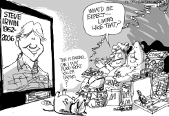 STEVE IRWIN by Pat Bagley