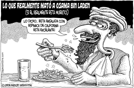 LO QUE MATO A OSAMA by Wolverton