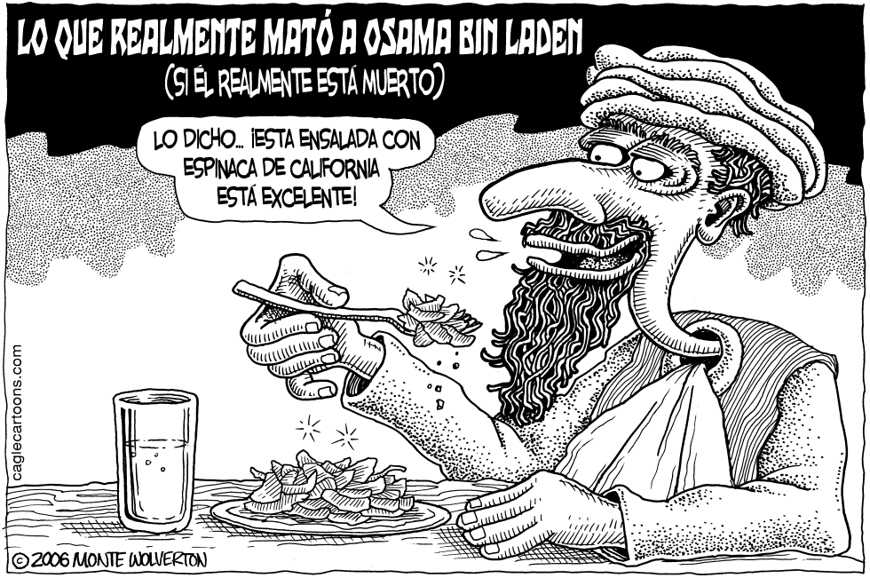  LO QUE MATO A OSAMA by Wolverton