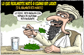 LO QUE MATO A OSAMA  by Wolverton