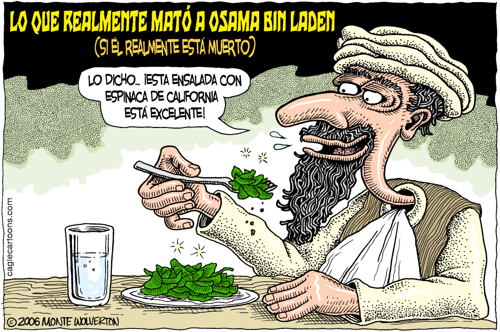  LO QUE MATO A OSAMA  by Wolverton