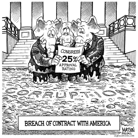 POLLS REVEAL A BREACH OF CONTRACT WITH AMERICA by RJ Matson