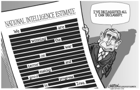 DECLASSIFIED NATIONAL INTELLIGENCE ESTIMATE by RJ Matson