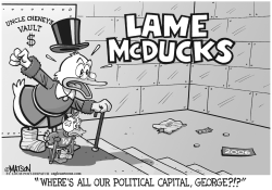 LAME MCDUCKS-GRAY by RJ Matson