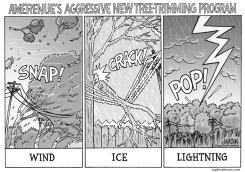 LOCAL MO-AMEREN'S NEW TREE-TRIMMING PROGRAM by RJ Matson