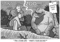 LOCAL MO-SAINT LOUIS ZOO RESTRICTS SMOKING by RJ Matson