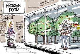 FROZEN ORANGE by Pat Bagley