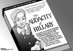 THE AUDACITY OF HILLARY by RJ Matson